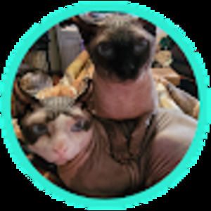 Meet your Posher, Joyce